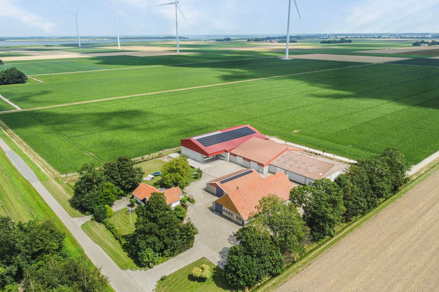Elandweg 13 - Swifterbant - Afbeelding 1