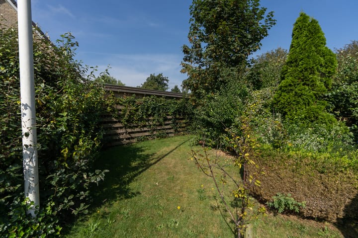 Foto 4 van Kroonstuk 9