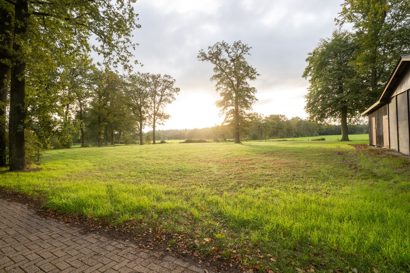 Foto 5 van Dalmsholterweg