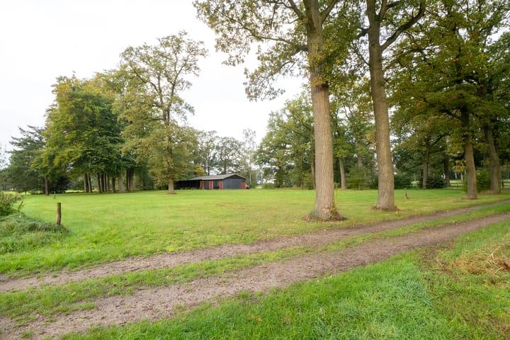 Foto 6 van Dalmsholterweg