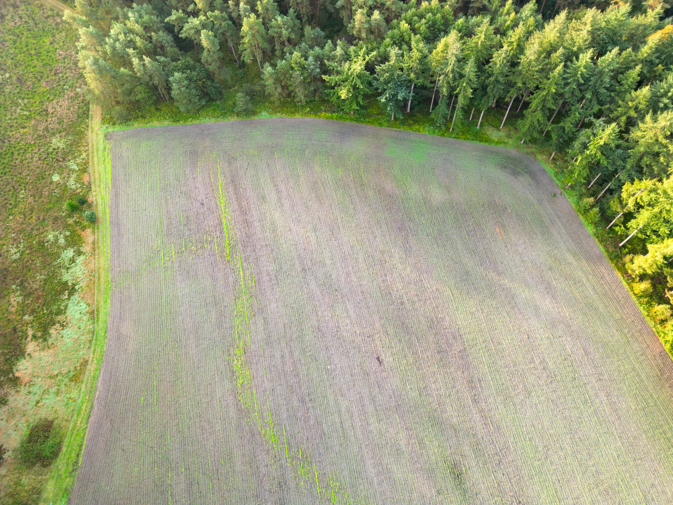 Foto 6 van Schaapskooiweg