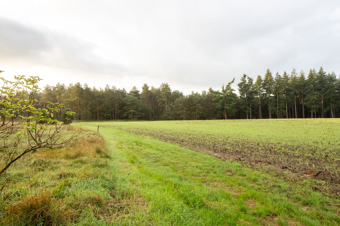 Foto 7 van Schaapskooiweg