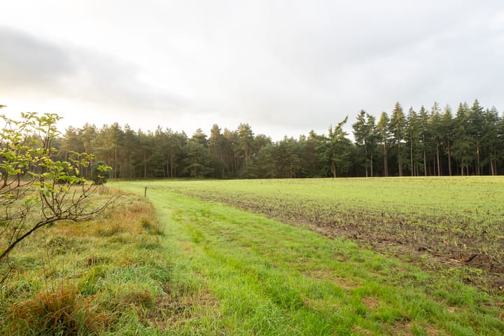 Foto 7 van Schaapskooiweg