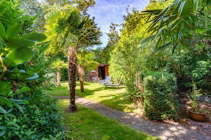 Photo 8 of De Sprong 27