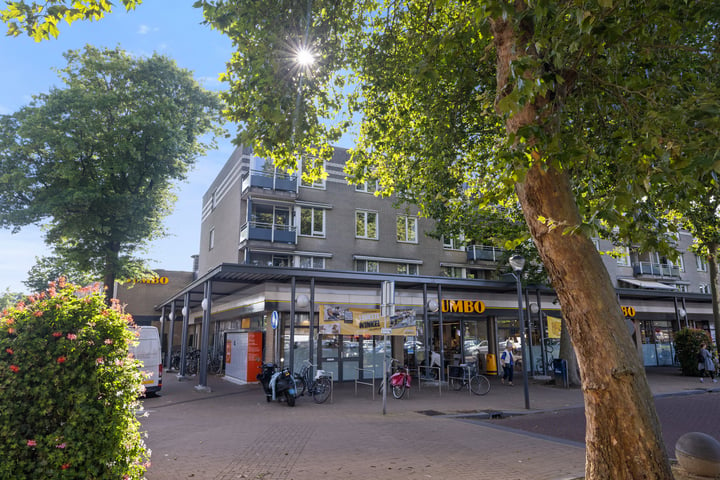 Bekijk foto 1 van Moleneindplein 200