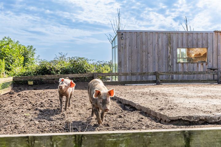 Bekijk foto 39 van Roudaalterweg 20