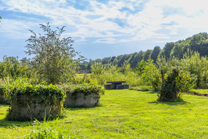 Bekijk foto 41 van Roudaalterweg 20