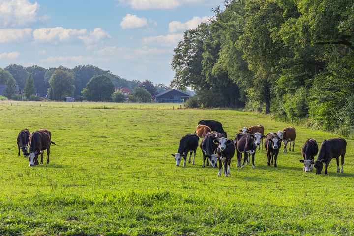 Bekijk foto 57 van Roudaalterweg 20