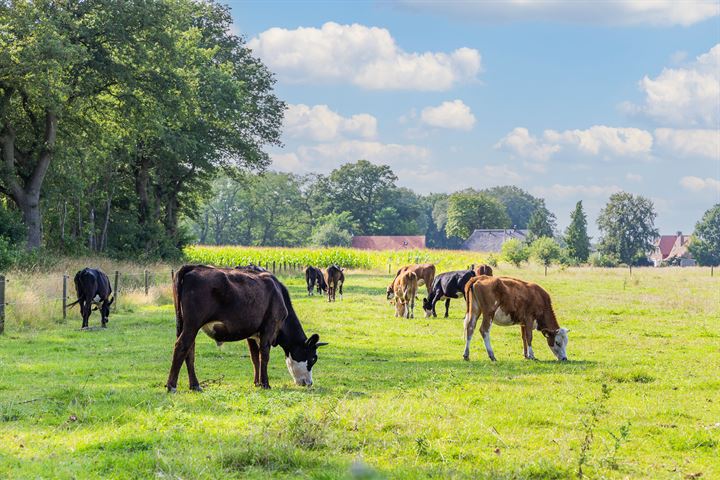 Bekijk foto 58 van Roudaalterweg 20