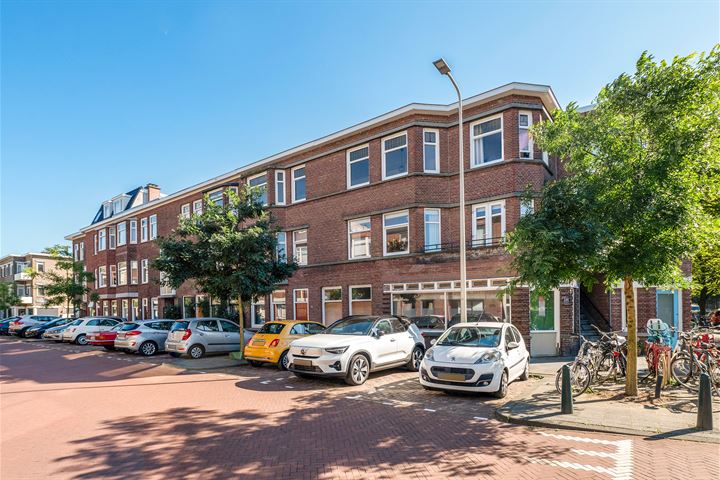 Bekijk foto 1 van Stuyvesantstraat 233