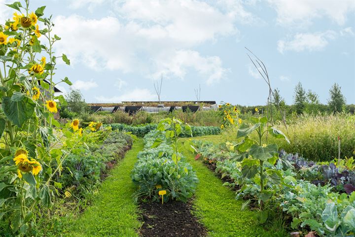 Bekijk foto 56 van Oeverwalhof 25