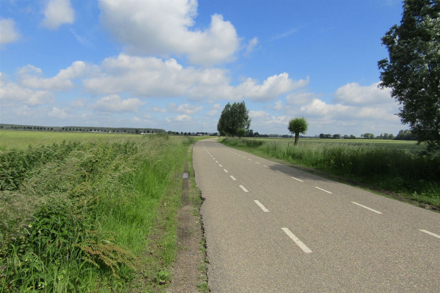 Bekijk foto 2 van Cultuurgrond Biesheuvelweg