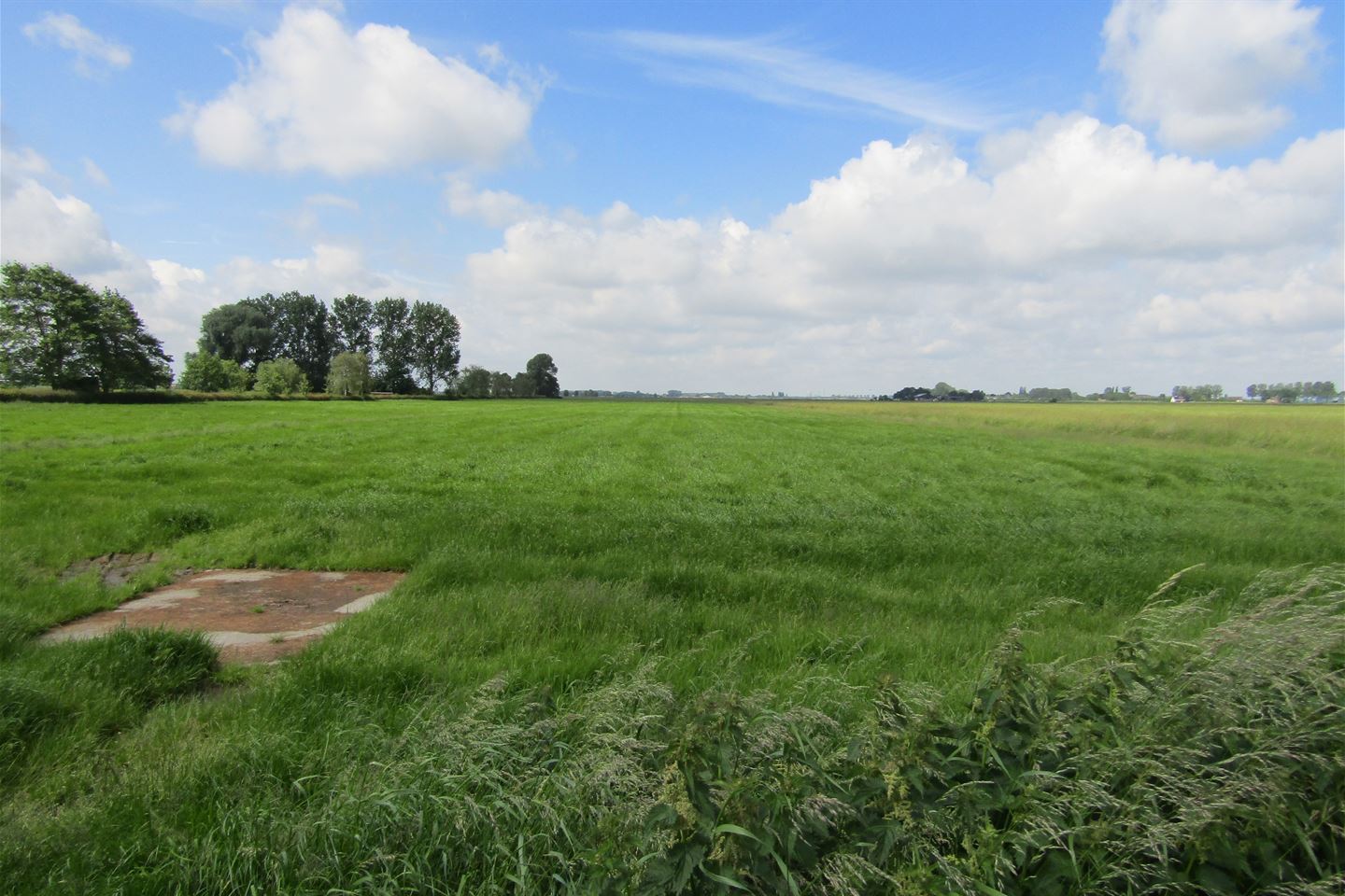 Bekijk foto 1 van Cultuurgrond Biesheuvelweg