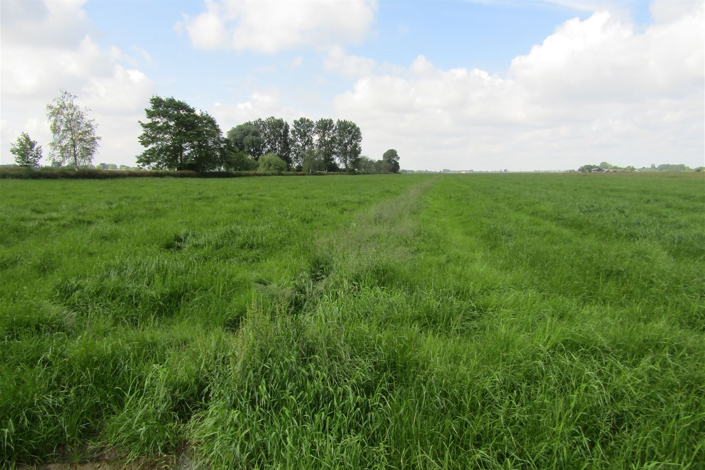 Bekijk foto 5 van Cultuurgrond Biesheuvelweg