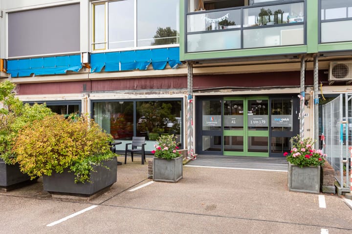 Foto 2 van Loolaan 41-170