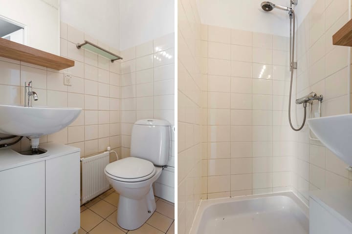 Foto 18 van Loolaan 41-170