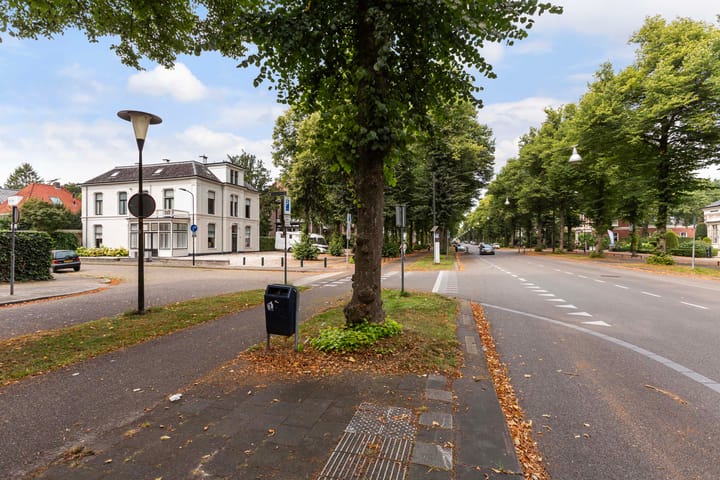 Foto 20 van Loolaan 41-170