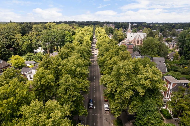 Bekijk foto 27 van Loolaan 41-170