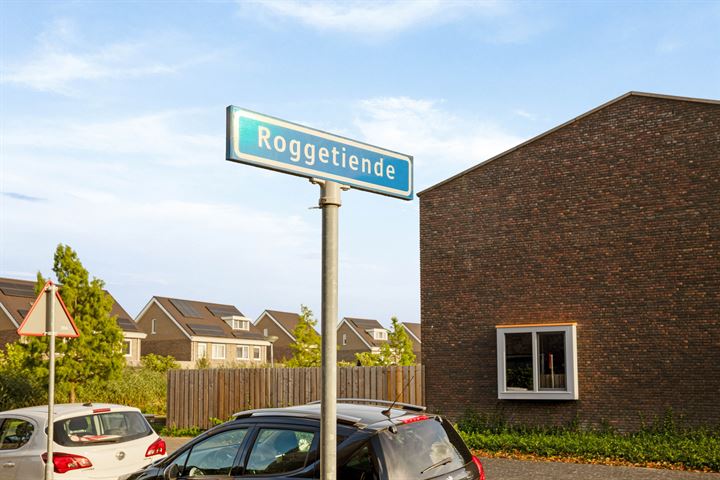 View photo 5 of Roggetiende 49