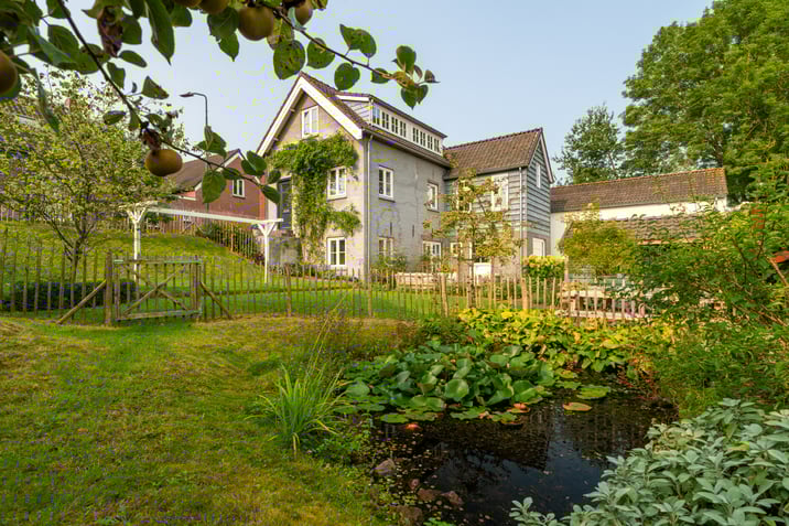 undefined main image