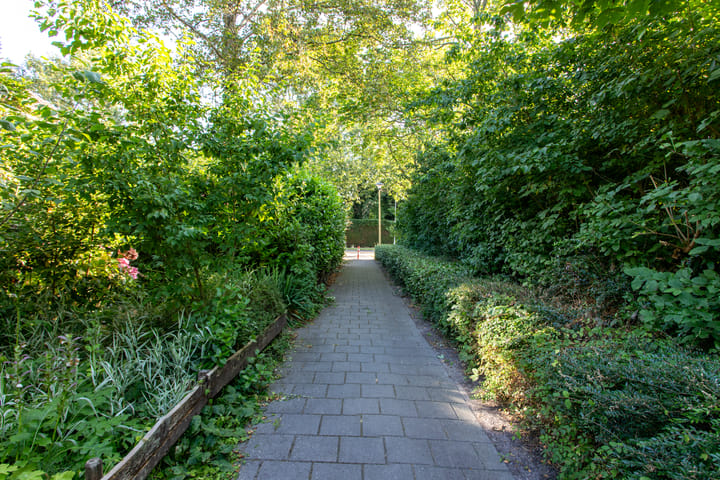 Foto 45 van Van Hoockerkenstraat 10