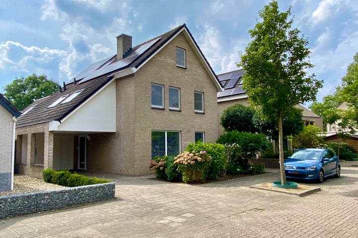 De Gewanten 5