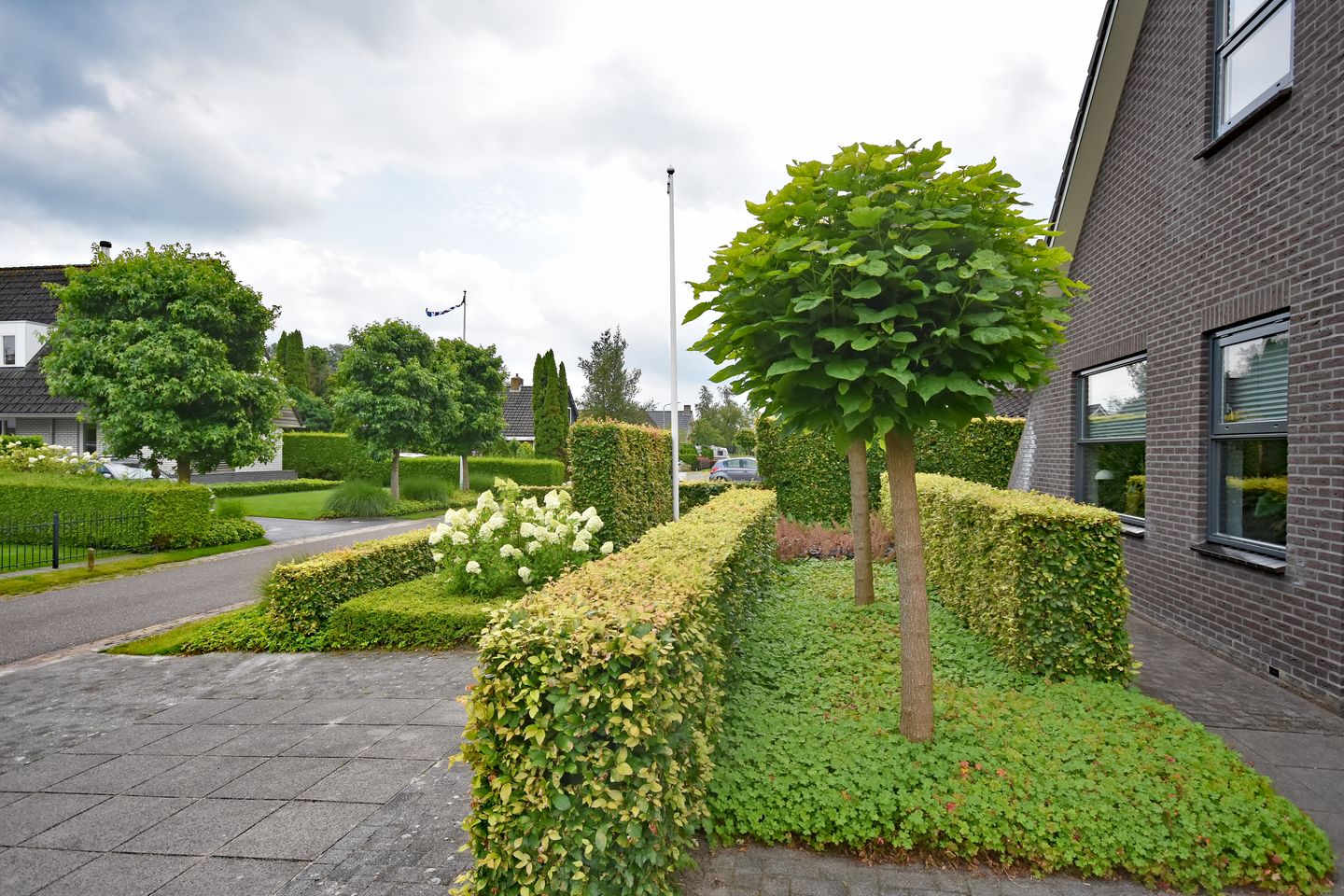 Foto 4 van Elzeloane 12