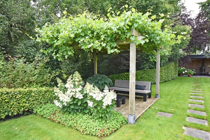 Foto 12 van Elzeloane 12