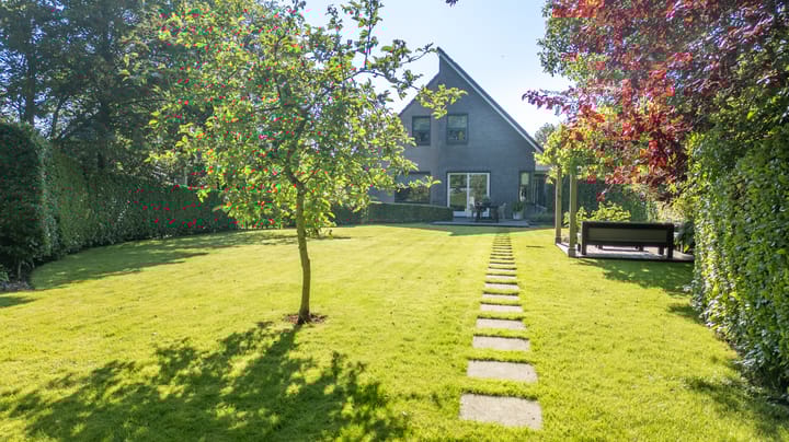 Foto 1 van Elzeloane 12