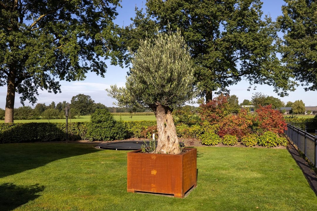 Foto 47 van Boelenhoefseweg 5