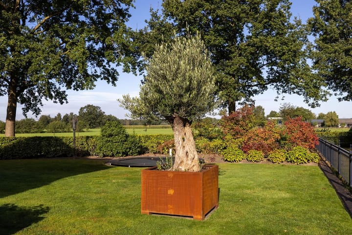 Foto 47 van Boelenhoefseweg 5