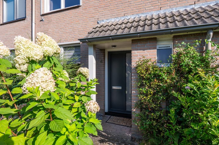 Foto 6 van Seinelaan 4