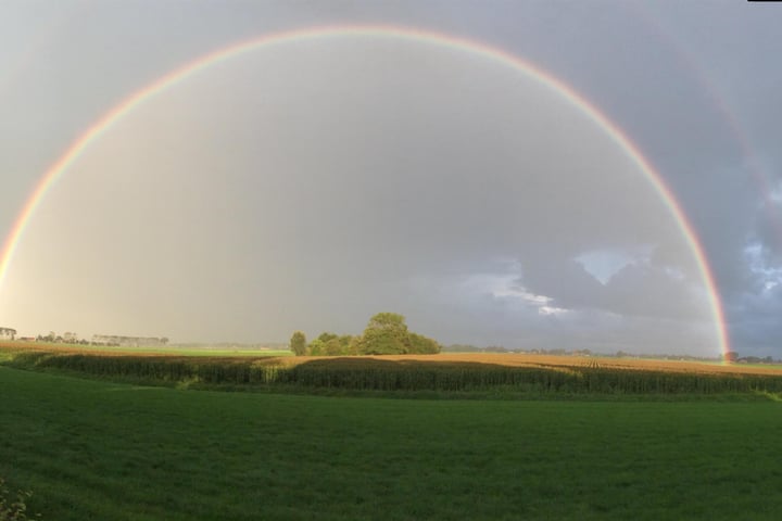 Bekijk foto 69 van Noorddijk 23