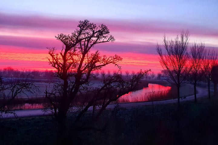 Bekijk foto 70 van Noorddijk 23