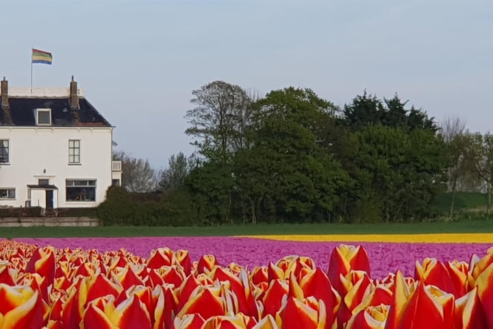 Bekijk foto 60 van Noorddijk 23