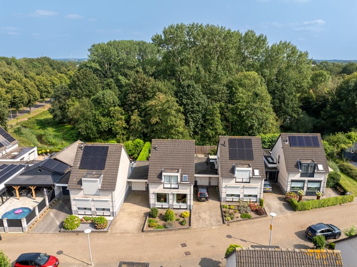 Foto 29 van Dopheidestraat 16