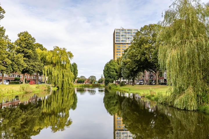 Bekijk foto 1 van Wielewaalplein 248