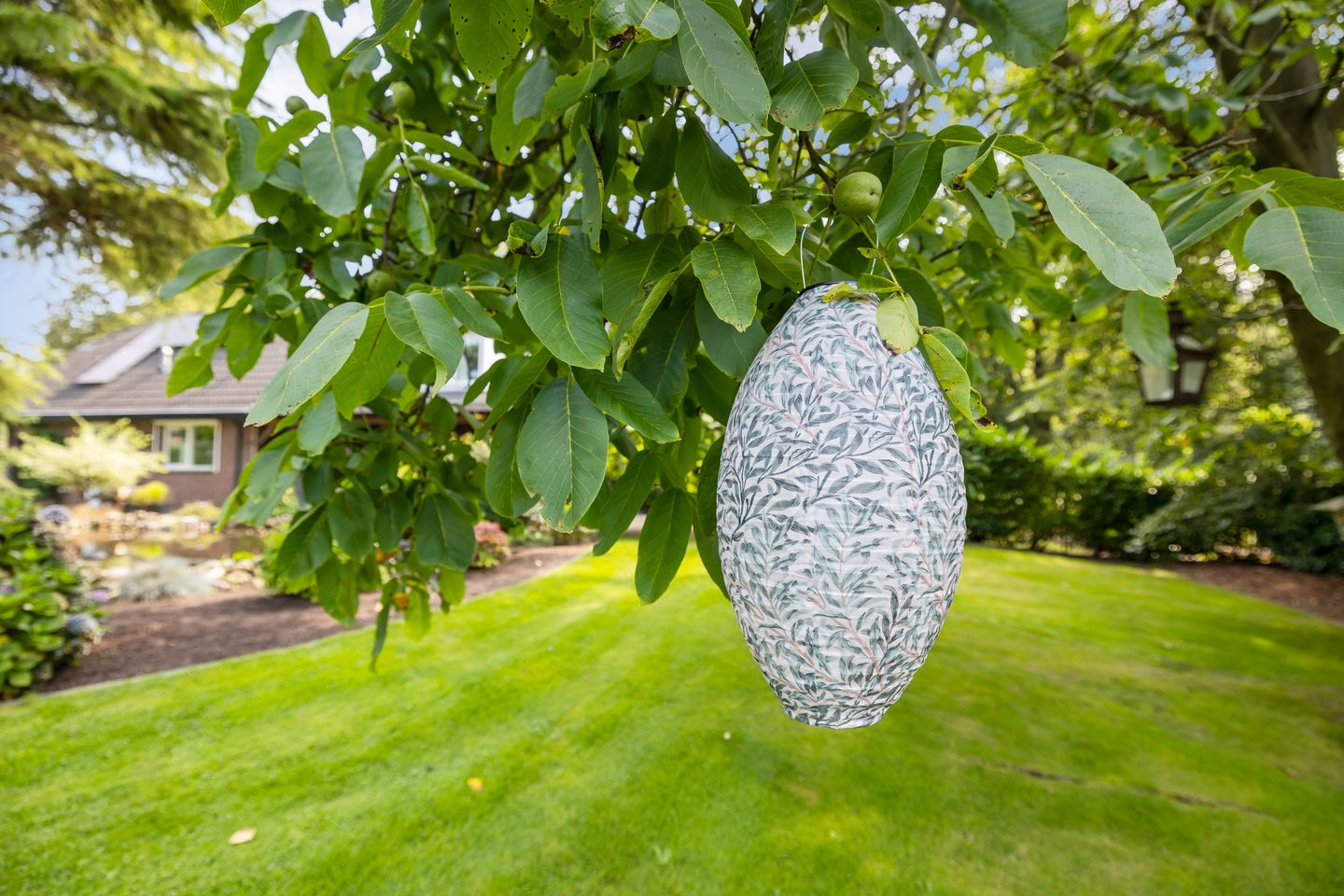 Foto 44 van Heuvelweg 26