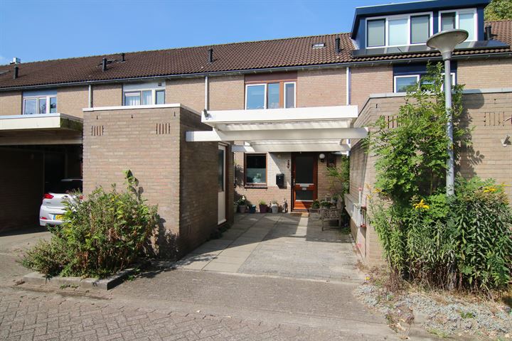 Bekijk foto van Dragonstraat 6