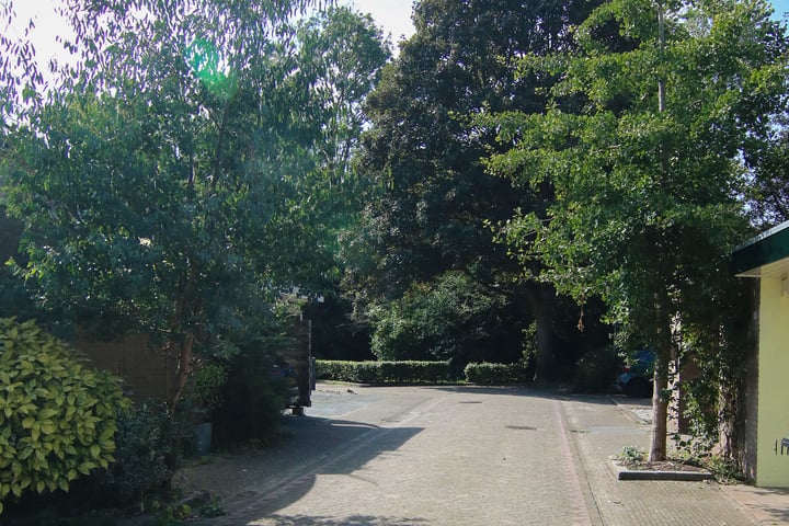 View photo 21 of Dragonstraat 6