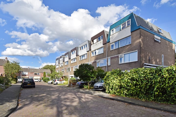 Bekijk foto 43 van Merelstraat 18