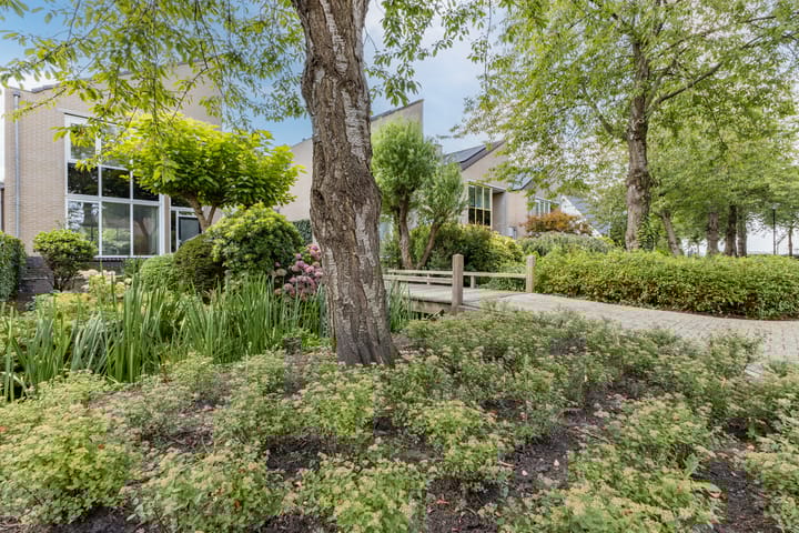 Foto 50 van Koningsspil 26