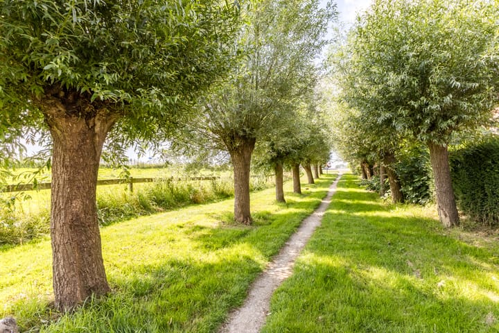 Foto 54 van Koningsspil 26