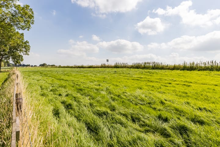 Foto 55 van Koningsspil 26