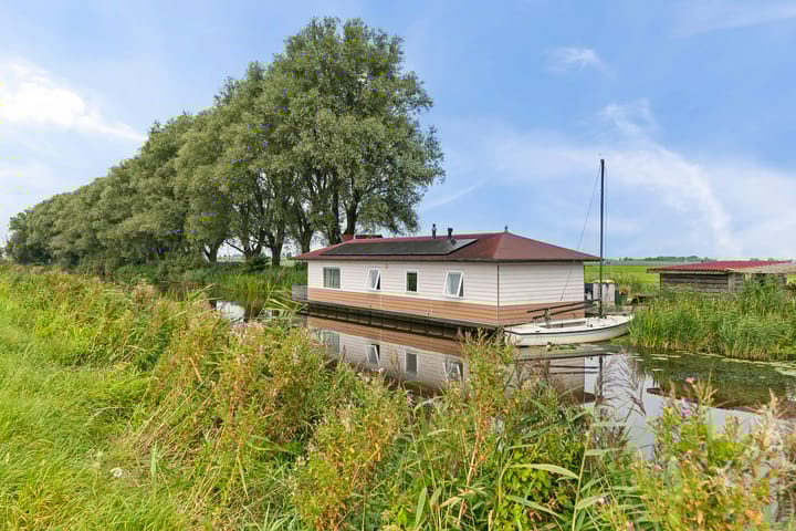 undefined main image