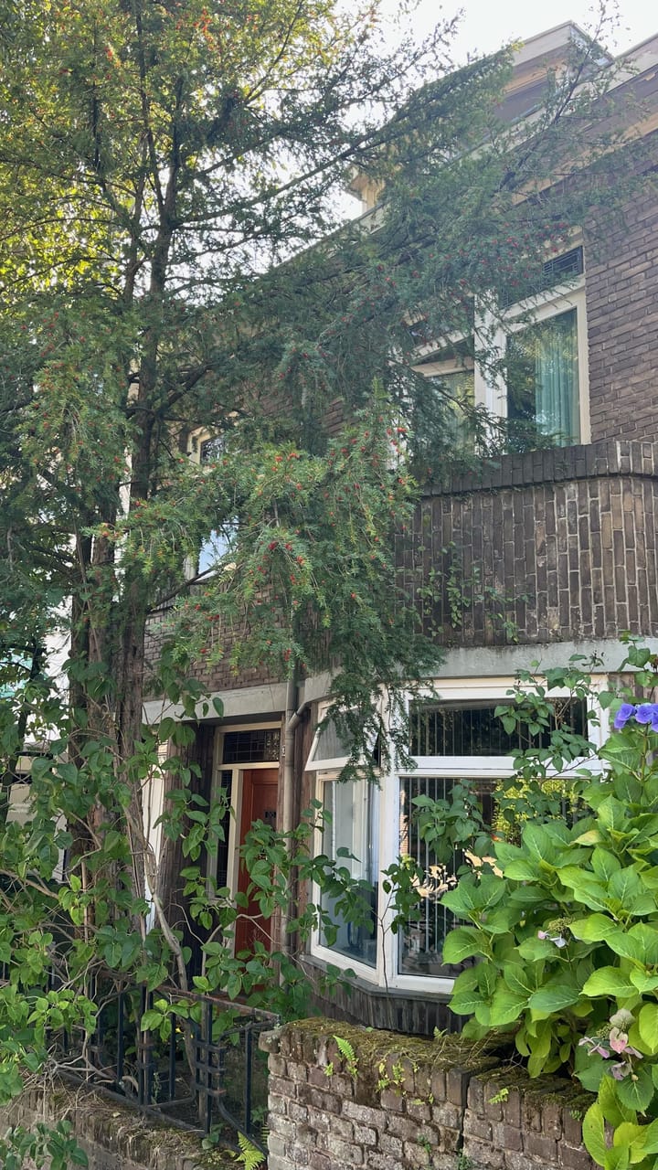 Foto 2 van Haagweg 369