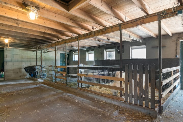 Foto 43 van Peezeweg 4