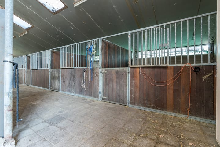 Foto 44 van Peezeweg 4