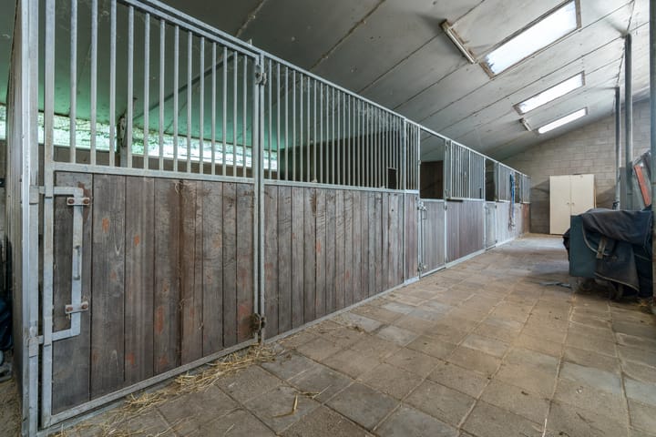 Foto 45 van Peezeweg 4