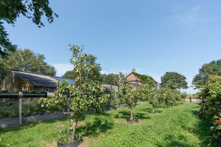 Foto 57 van Peezeweg 4